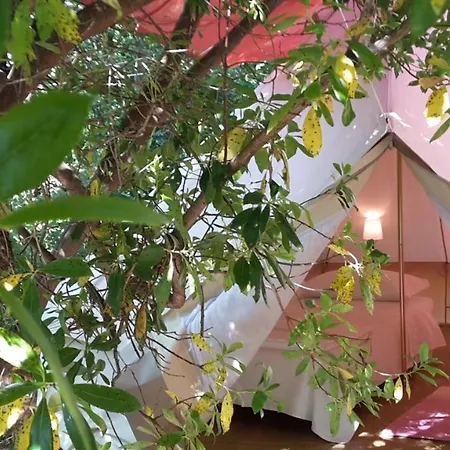 Luxury tent Agricamping La Gallinella Castagneto Carducci