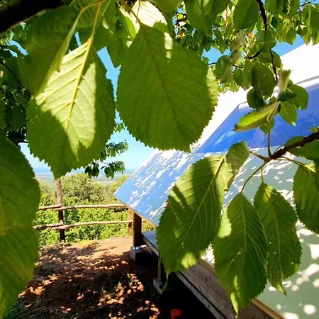 Agricamping La Gallinella Luxury tent