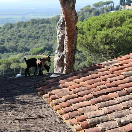 Agricamping La Gallinella