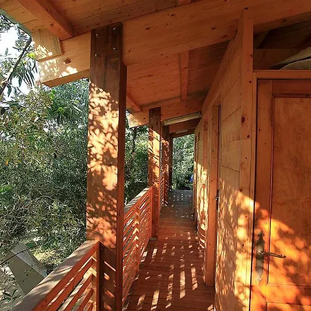 Luxury tent Agricamping La Gallinella