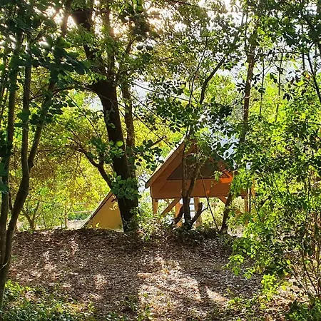 Luxury tent Agricamping La Gallinella *