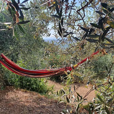Agricamping La Gallinella *