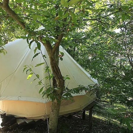 Luxury tent Agricamping La Gallinella Castagneto Carducci