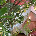 Luxury tent Agricamping La Gallinella Castagneto Carducci