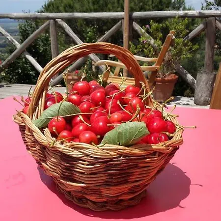Luxusní stan Agricamping La Gallinella Castagneto Carducci